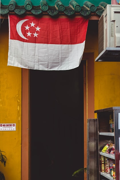 Socio-Economic Implications of Policies in Singapore